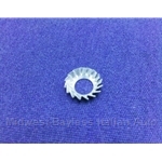 Washer M6 Serrated Lock Taper for Door Latch Mechanism (FIat Lancia All - OE/RENEWED